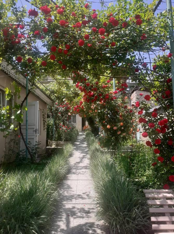 Emma'S Guesthouse In Bordżomi Zewnętrze zdjęcie
